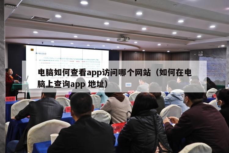 电脑如何查看app访问哪个网站（如何在电脑上查询app 地址）