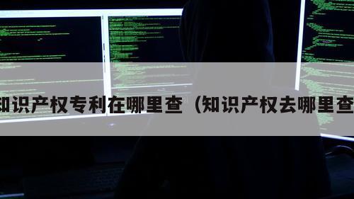 知识产权专利在哪里查（知识产权去哪里查）