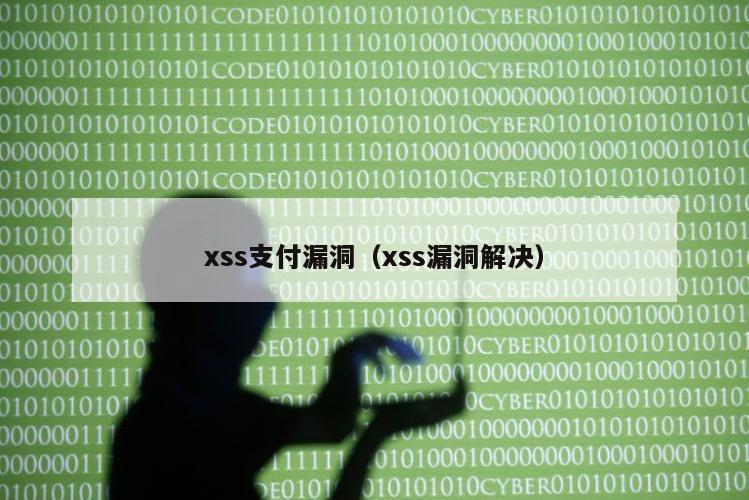 xss支付漏洞（xss漏洞解决）