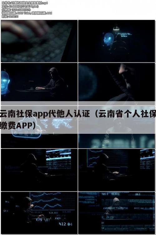 云南社保app代他人认证（云南省个人社保缴费APP）