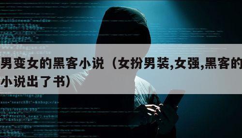 男变女的黑客小说（女扮男装,女强,黑客的小说出了书）