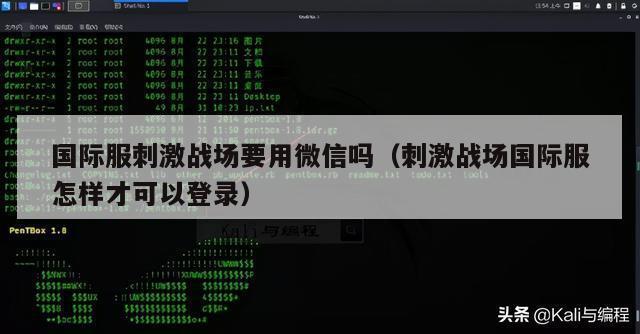 国际服刺激战场要用微信吗（刺激战场国际服怎样才可以登录）
