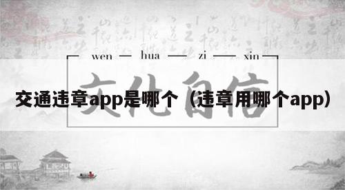 交通违章app是哪个（违章用哪个app）