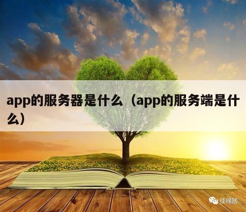 app的服务器是什么（app的服务端是什么）