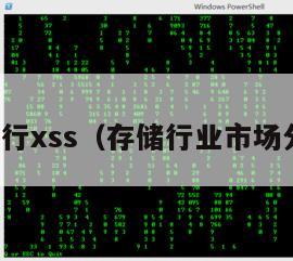 存储行xss（存储行业市场分析）