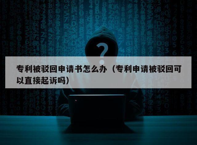 专利被驳回申请书怎么办（专利申请被驳回可以直接起诉吗）