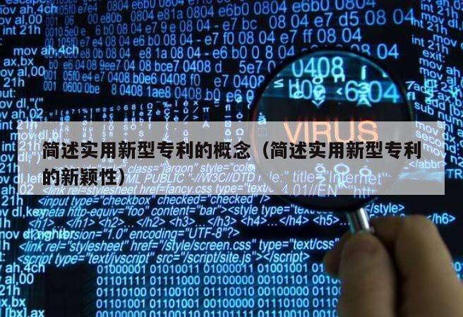 简述实用新型专利的概念（简述实用新型专利的新颖性）