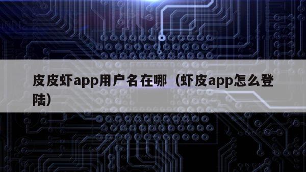 皮皮虾app用户名在哪（虾皮app怎么登陆）