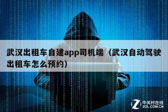 武汉出租车自建app司机端（武汉自动驾驶出租车怎么预约）