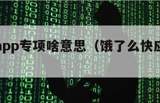 饿了么app专项啥意思（饿了么快应用是什么）