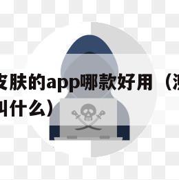 测试面部皮肤的app哪款好用（测试脸部皮肤的软件叫什么）