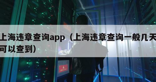 上海违章查询app（上海违章查询一般几天可以查到）