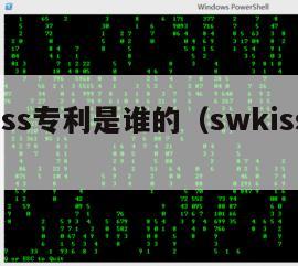 swkiss专利是谁的（swkiss公司）