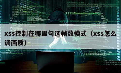 xss控制在哪里勾选帧数模式（xss怎么调画质）