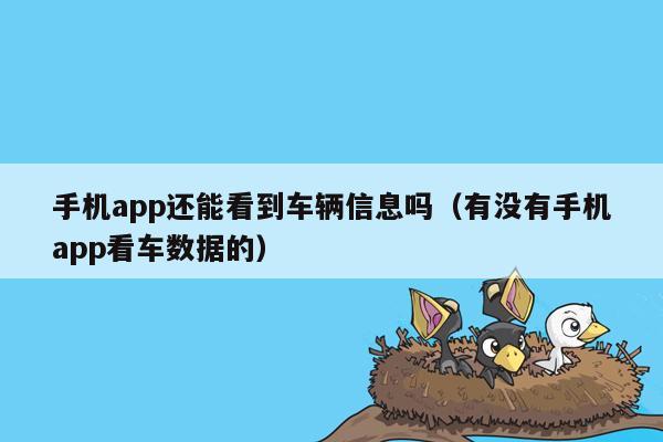 手机app还能看到车辆信息吗（有没有手机app看车数据的）