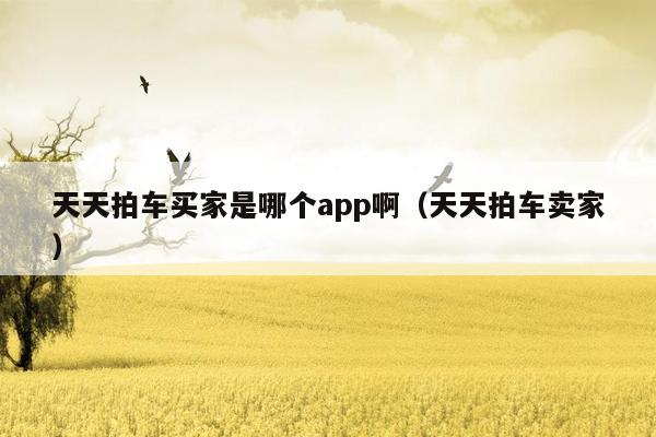 天天拍车买家是哪个app啊（天天拍车卖家）