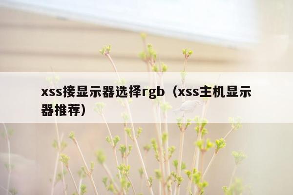 xss接显示器选择rgb（xss主机显示器推荐）