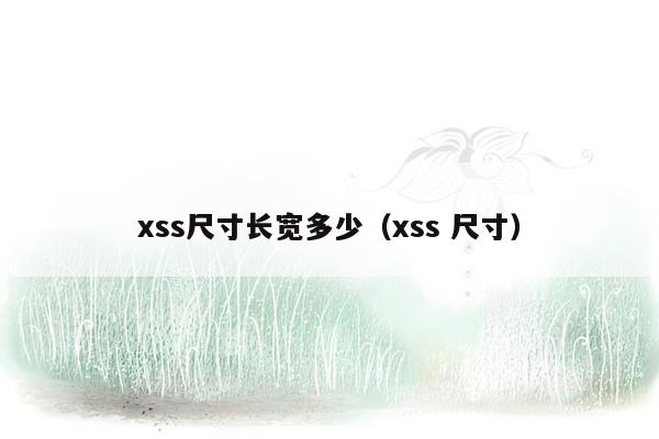 xss尺寸长宽多少（xss 尺寸）