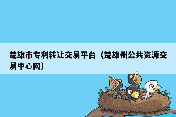 楚雄市专利转让交易平台（楚雄州公共资源交易中心网）