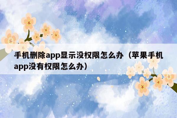 手机删除app显示没权限怎么办（苹果手机app没有权限怎么办）