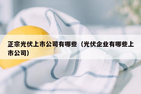 正宗光伏上市公司有哪些（光伏企业有哪些上市公司）