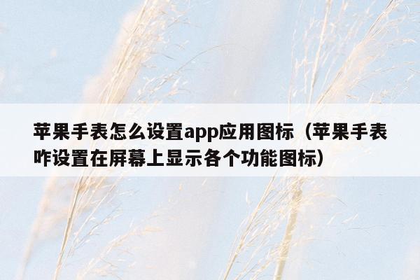 苹果手表怎么设置app应用图标（苹果手表咋设置在屏幕上显示各个功能图标）