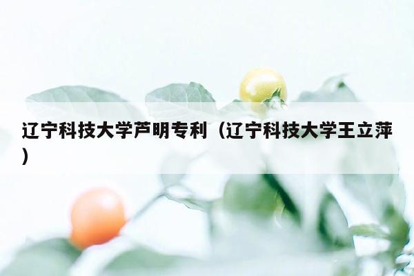 辽宁科技大学芦明专利（辽宁科技大学王立萍）