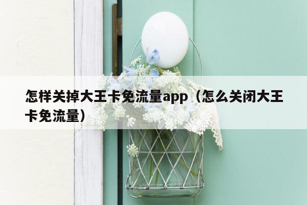 怎样关掉大王卡免流量app（怎么关闭大王卡免流量）