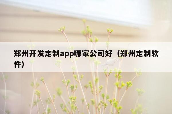 郑州开发定制app哪家公司好（郑州定制软件）