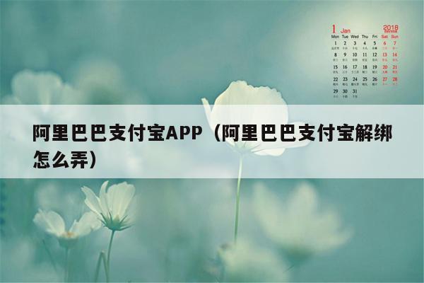 阿里巴巴支付宝APP（阿里巴巴支付宝解绑怎么弄）