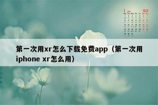 第一次用xr怎么下载免费app（第一次用iphone xr怎么用）