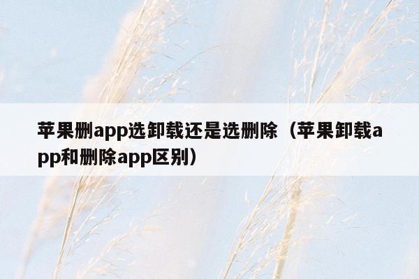 苹果删app选卸载还是选删除（苹果卸载app和删除app区别）