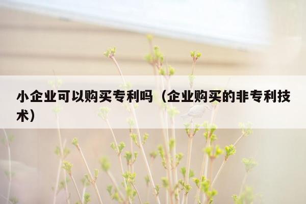 小企业可以购买专利吗（企业购买的非专利技术）