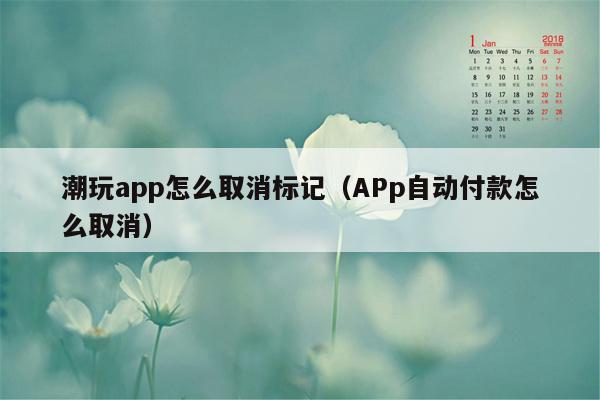 潮玩app怎么取消标记（APp自动付款怎么取消）