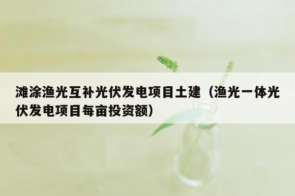 滩涂渔光互补光伏发电项目土建（渔光一体光伏发电项目每亩投资额）