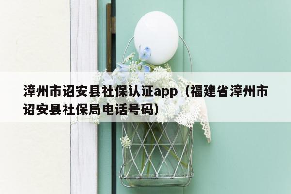 漳州市诏安县社保认证app（福建省漳州市诏安县社保局电话号码）