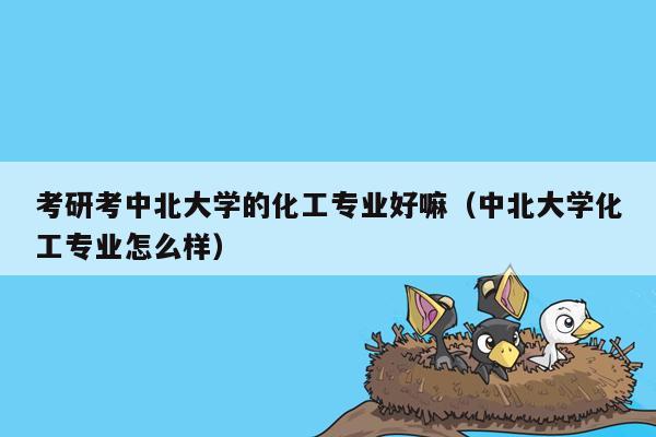 考研考中北大学的化工专业好嘛（中北大学化工专业怎么样）