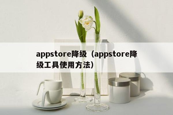 appstore降级（appstore降级工具使用方法）