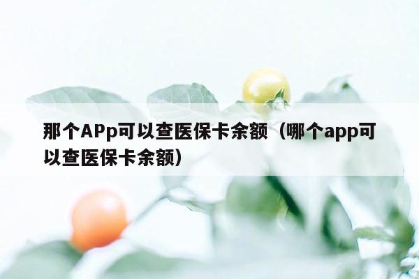 那个APp可以查医保卡余额（哪个app可以查医保卡余额）