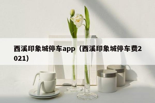 西溪印象城停车app（西溪印象城停车费2021）