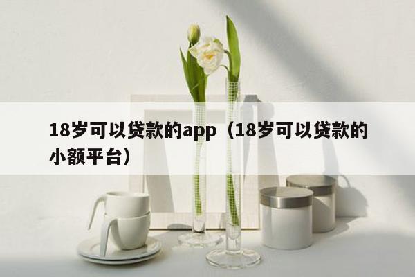 18岁可以贷款的app（18岁可以贷款的小额平台）