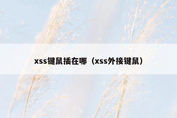 xss键鼠插在哪（xss外接键鼠）