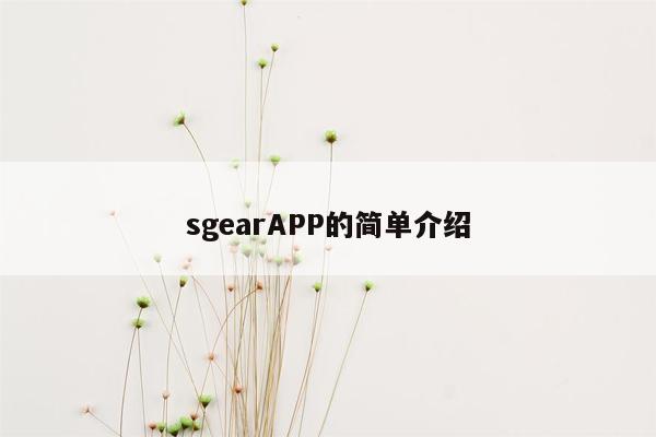 sgearAPP的简单介绍