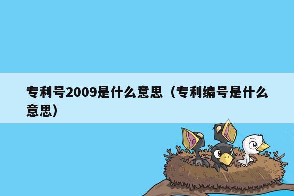 专利号2009是什么意思（专利编号是什么意思）