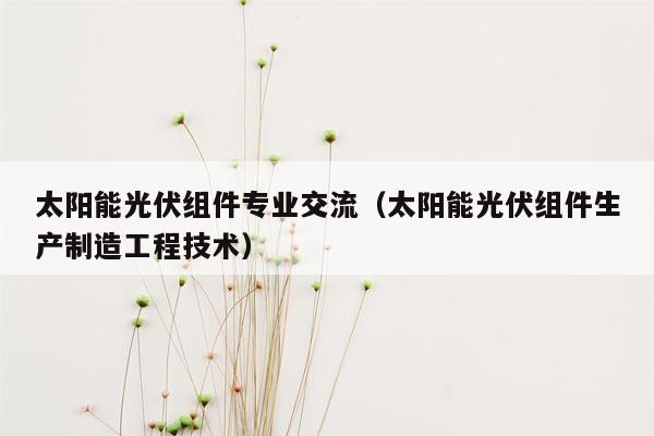 太阳能光伏组件专业交流（太阳能光伏组件生产制造工程技术）