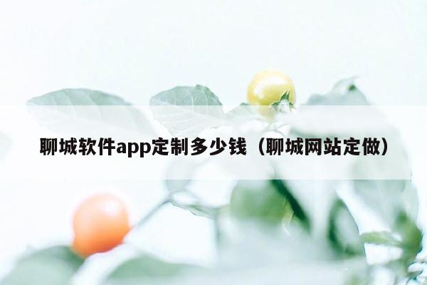 聊城软件app定制多少钱（聊城网站定做）