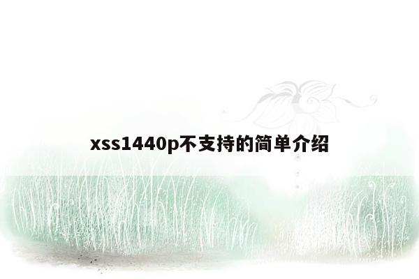 xss1440p不支持的简单介绍