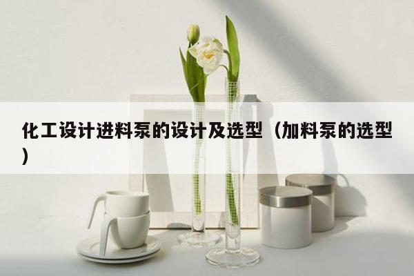 化工设计进料泵的设计及选型（加料泵的选型）