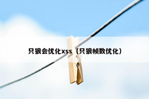 只狼会优化xss（只狼帧数优化）