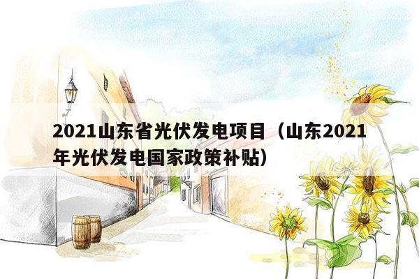 2021山东省光伏发电项目（山东2021年光伏发电国家政策补贴）